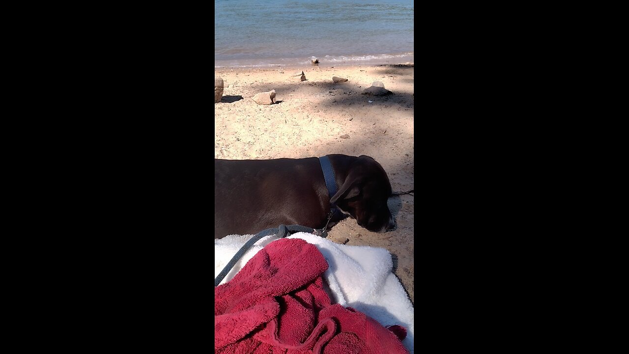 Lil Buddy and I Bass Lake California 8/24