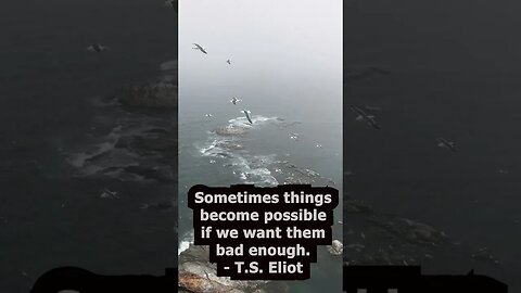 T.S. Eliot Quotes that can help you in your daily life