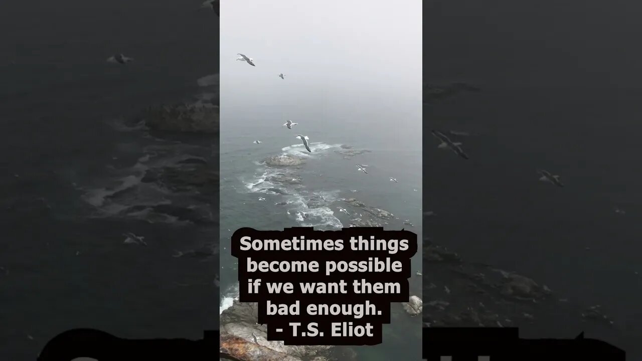 T.S. Eliot Quotes that can help you in your daily life