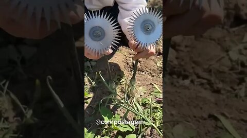 Ferramenta diferente para capinar uma horta rápido #compostagem