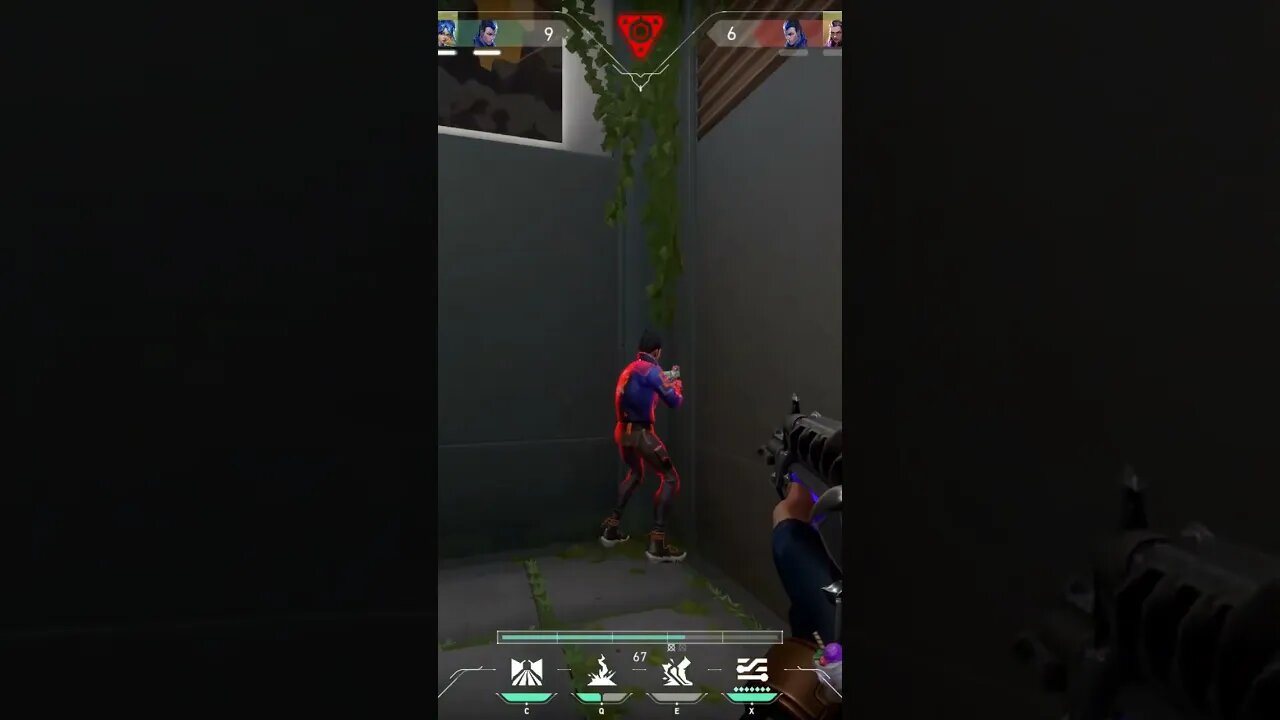 clean