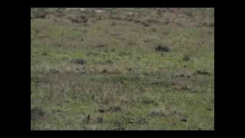 Kenya 2006