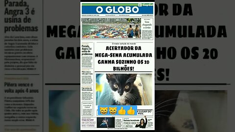 Gato milionário conheça o Gato Bartolomeu Tunico mega sena