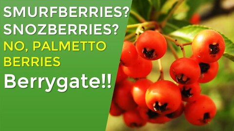 Smurfberries? Snozberries? No, palmetto berries - Berrygate!!!