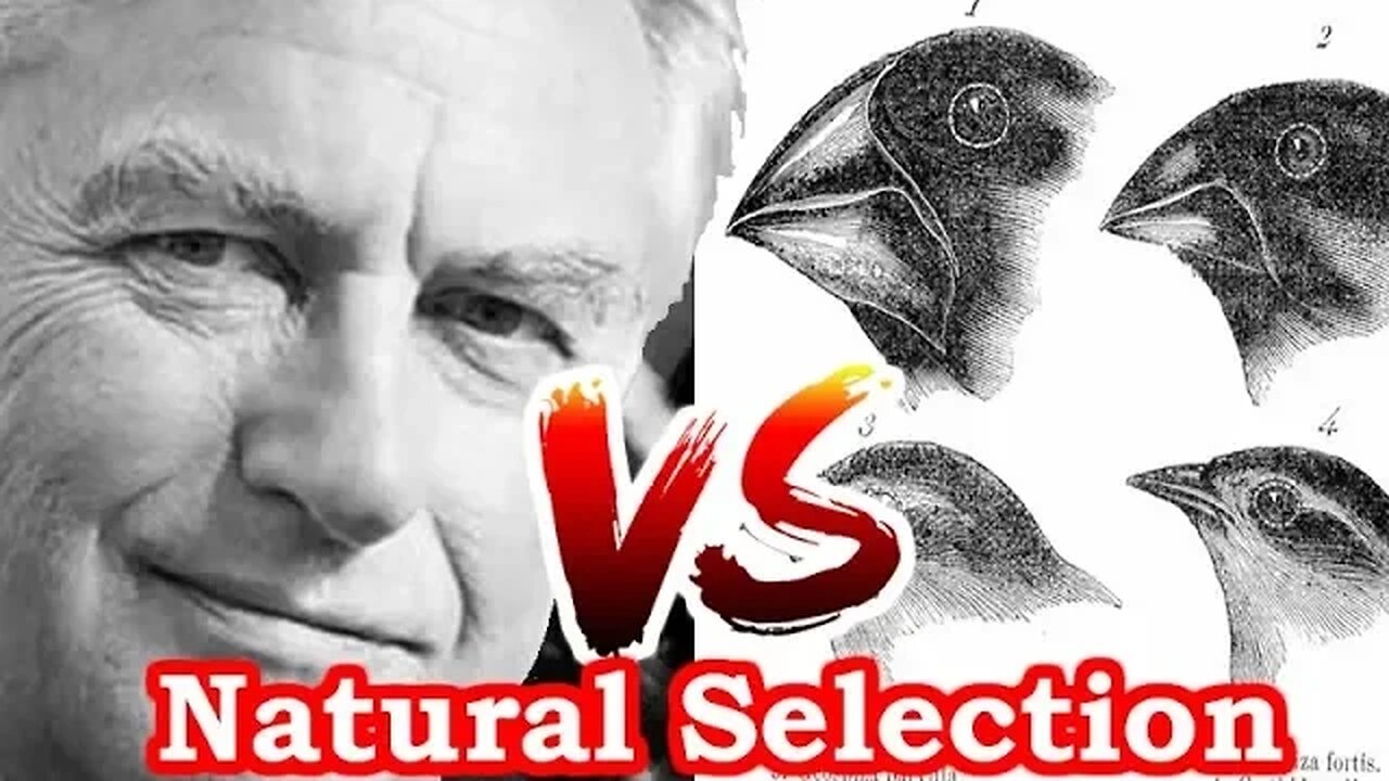 Richard Dawkins challenges Natural Selection