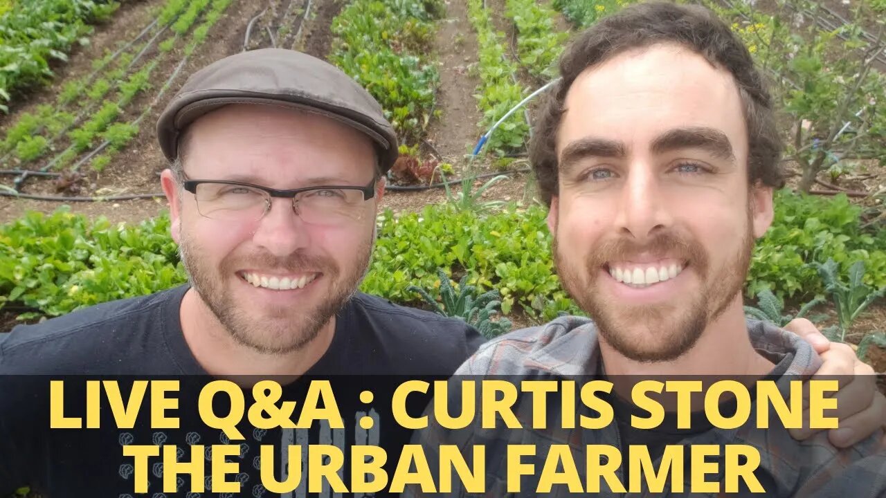 LIVE Q&A with Curtis Stone the Urban Farmer