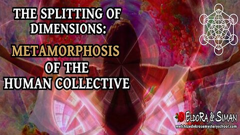 The Splitting of Dimensions, Metamorphosis of the Human Collective