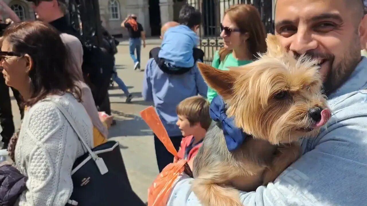 Vicious dog 😆 🤣 😂 #horseguardsparade