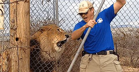 Nature, You're Unbelievably Frightening | Hilarious and Frightening Animal Encounters
