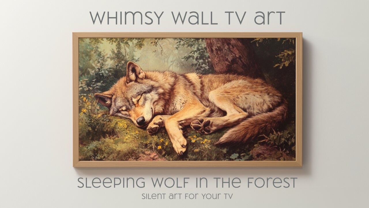 Wolf Sleeping In The Forest -Vintage Art for Relaxation: Silent Art For Your TV 4K