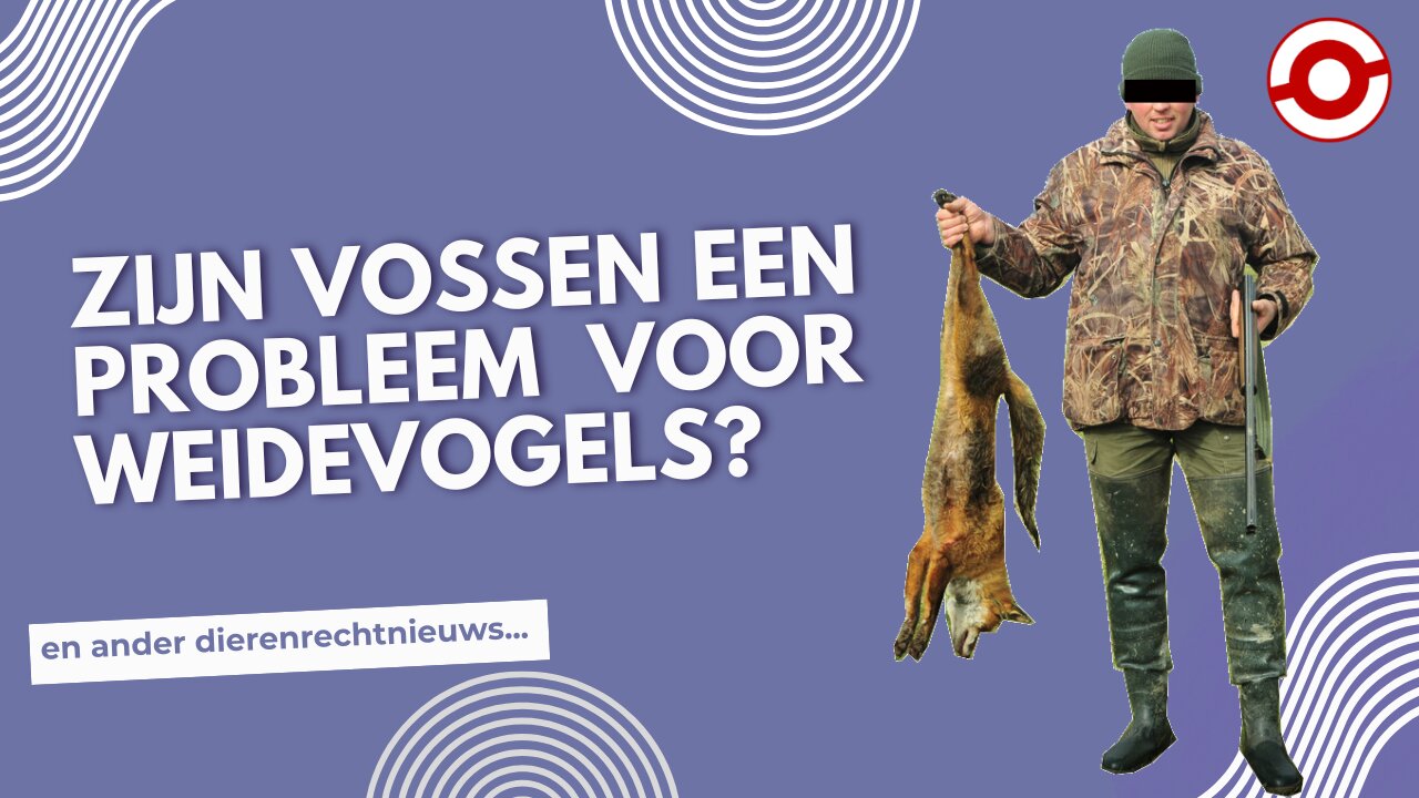 De fabel van de jager, de vos en de weidevogels...