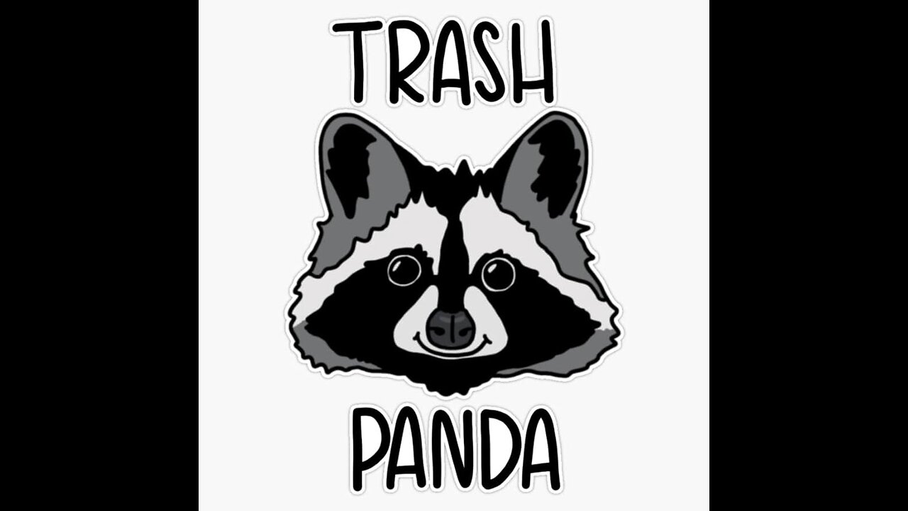 I met a trash panda!