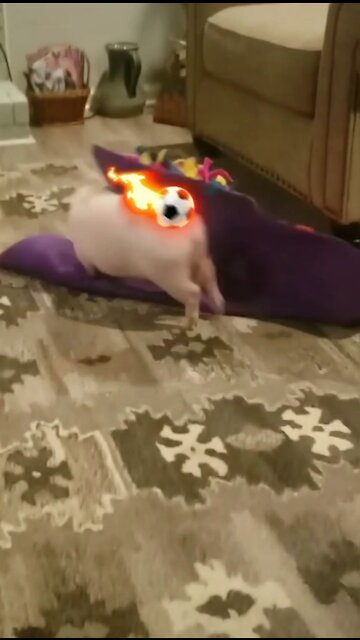 Yay Sports are Back!