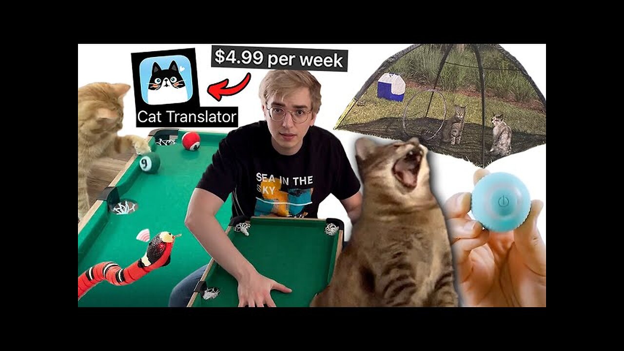 Buying the weirdest cat toys on the internet