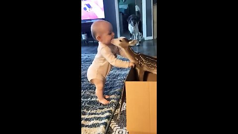 Funny babies and animals