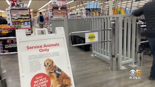 Crime Is So Bad In San Francisco, Stores Are Taking Drastic Measures