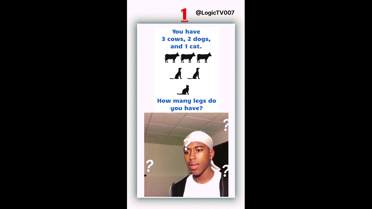 How many legs do you have ?