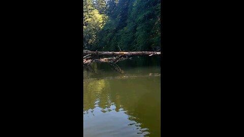 Lost Lake, Henri Rierson Campground