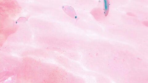 Fantastic Fishes Swimming in Abstract Ocean Waves