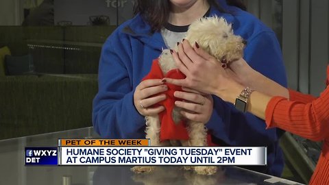 Humane Society to host "Giving Tuesday" event at Campus Maritus today