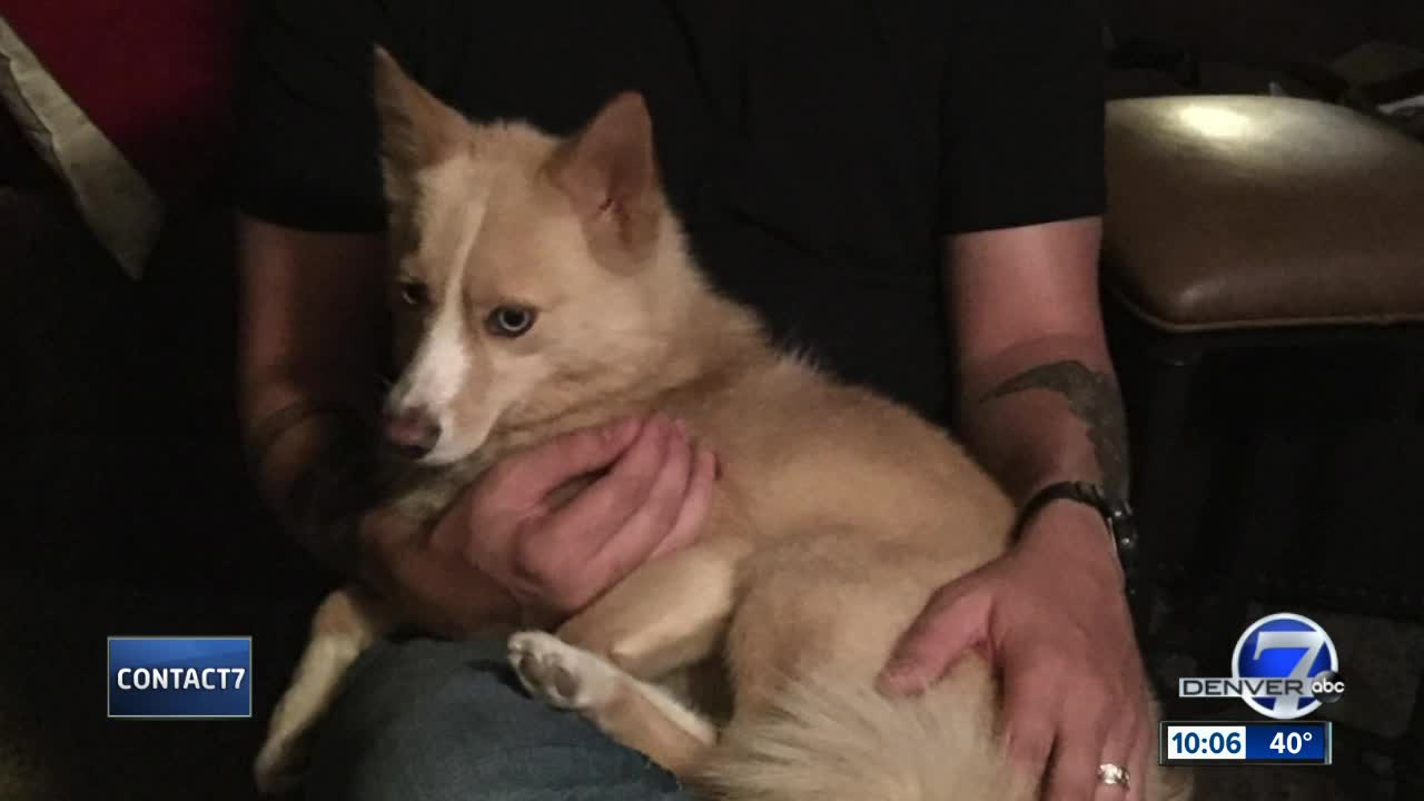 Family of Navy veteran with PTSD searching for his lost service dog