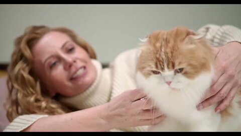 KUCING LUCU #PART 88