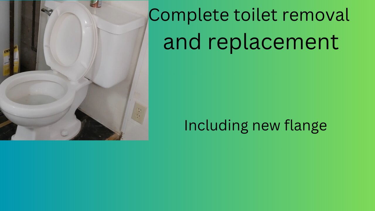 complete how to remove and replace a toilet