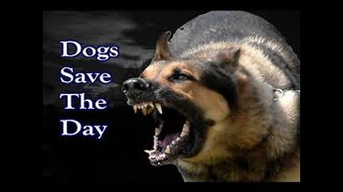 4 Scary Stories Where Dogs Saved the Day