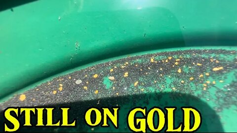 Sun Is Hot And The Gold Is Shining!