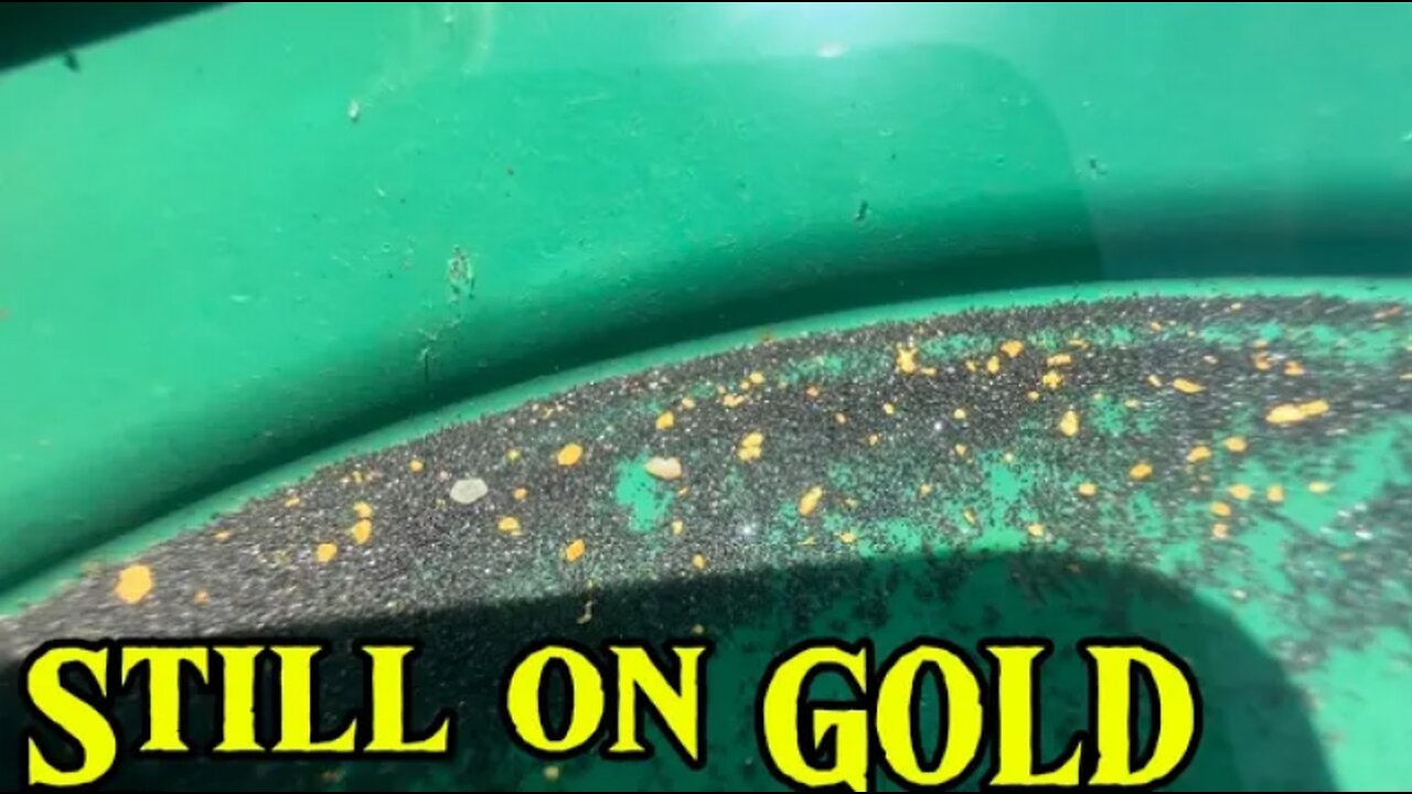 Sun Is Hot And The Gold Is Shining!