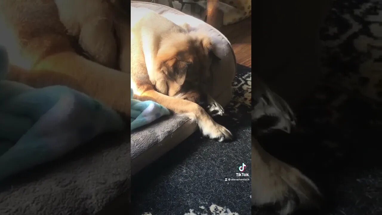 So snoozy!