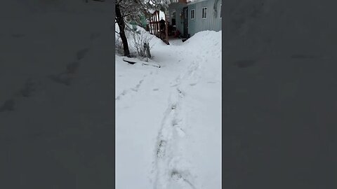More snow ￼