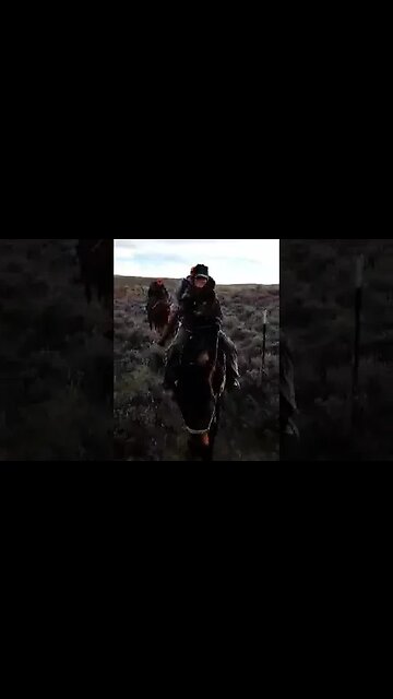 Looking forward to elk season!!