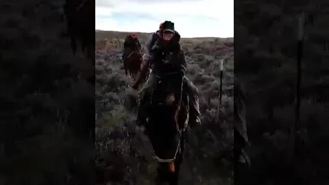 Looking forward to elk season!!