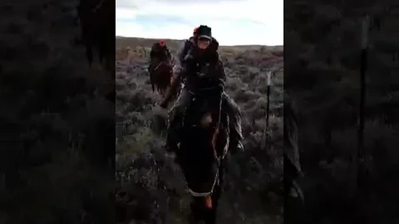 Looking forward to elk season!!