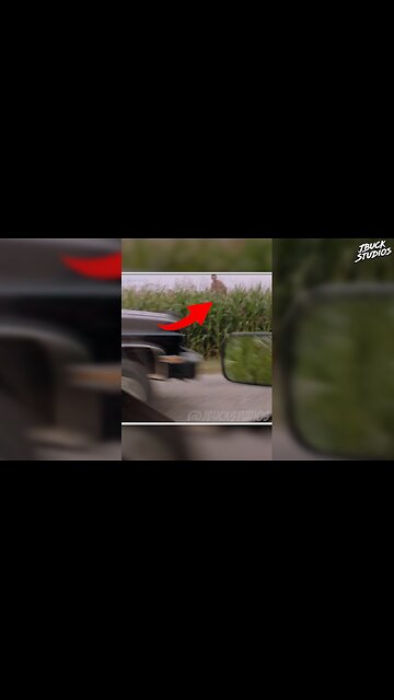 Did You Catch This In TWISTER (1996)??