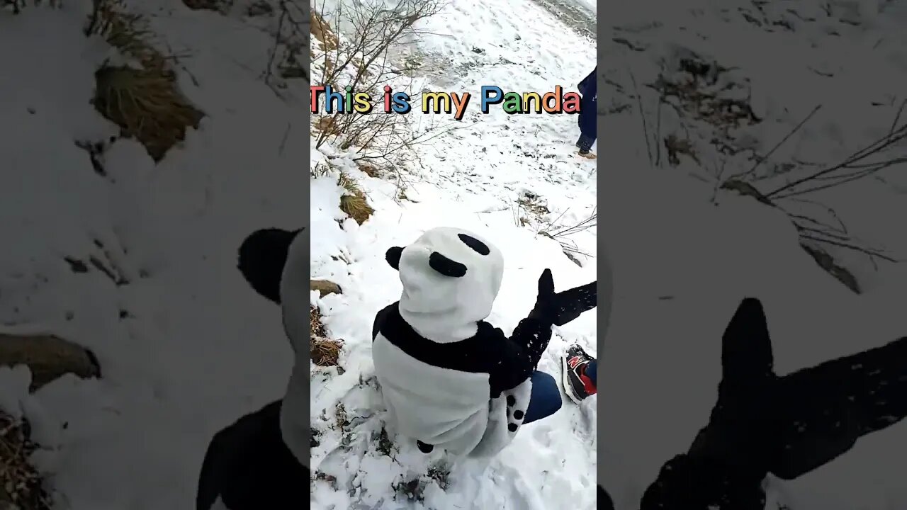 My sweet Bubloo in Panda costume playing in the snow
