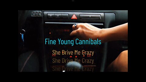 Fine Young Cannibals- She Drives Me Crazy - Fan - (Cover)