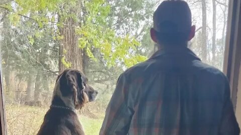 Cruizing down to Sante Fe with Defender of Ants