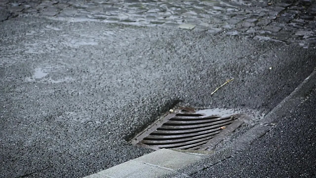 Rain Fall Drops Wet Water Waterdrop Raindrop