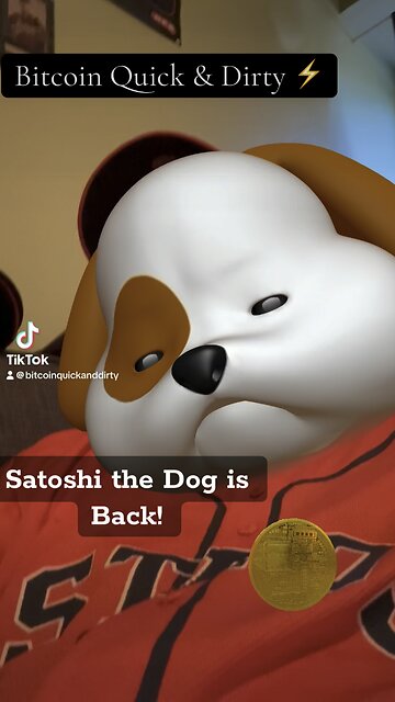 ⚡️Satoshi the Pup is Back! ⚡️