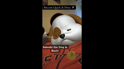 ⚡️Satoshi the Pup is Back! ⚡️