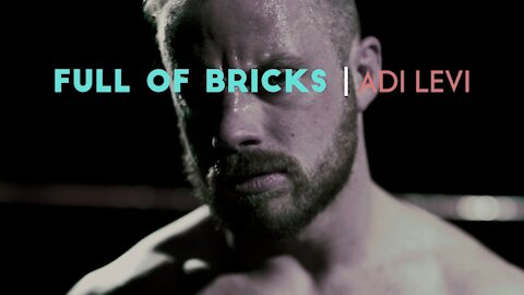 "Full of Bricks" by Adi Levi