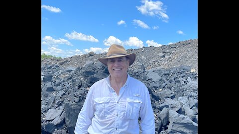 Plant Fossils- Stephen C. Minkin Paleozoic Footprint Site-carboniferous Fossils.