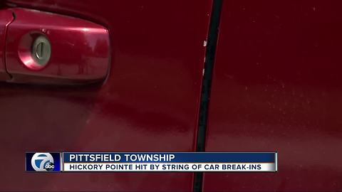 Thieves target nearly a dozen vehicles for valuables, steal one man's car in Pittsfield Twp