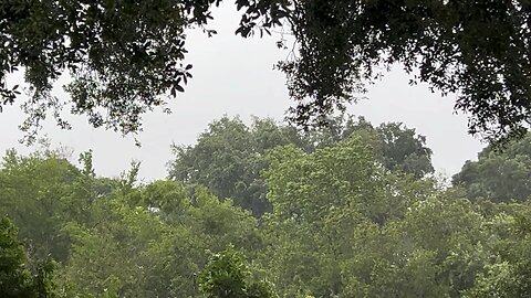 Rainy day April 11 2024 Preview of the summer.
