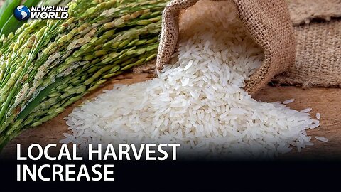 DA-BPI: Lifting of price cap on rice now possible