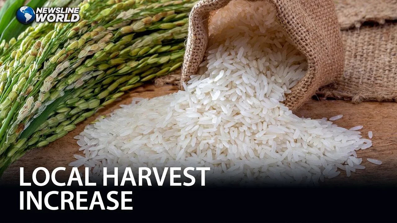 DA-BPI: Lifting of price cap on rice now possible
