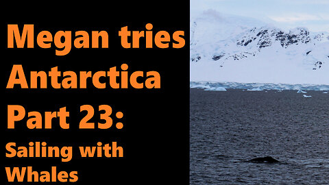 Megan Tries Antarctica, Part 23: Sailing with Whales