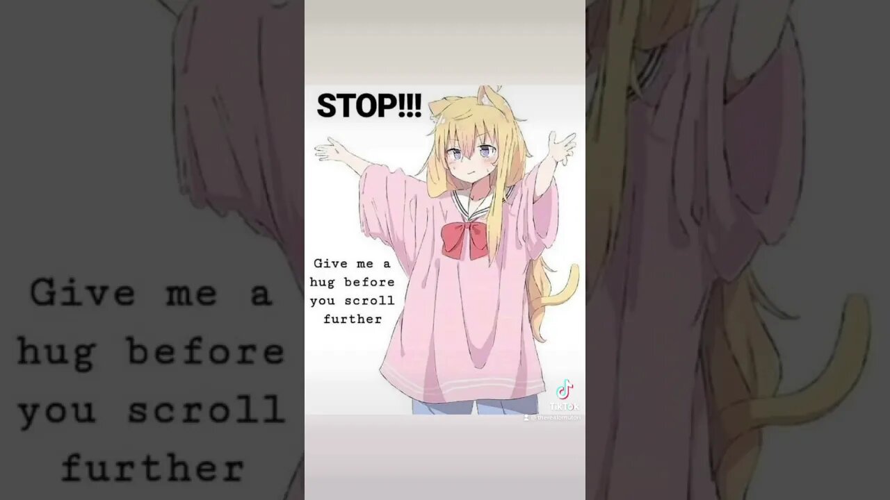 Huggie Huggie :3 #Vtuber #stream #games #birb #bird #meme #memes #anime #hug #cute #animegirl